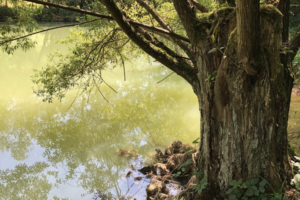 mystisches Wasserbild