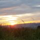 Sonnenaufgang bei der linner Linde