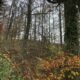 Walbaden bei schlechtem Wetter