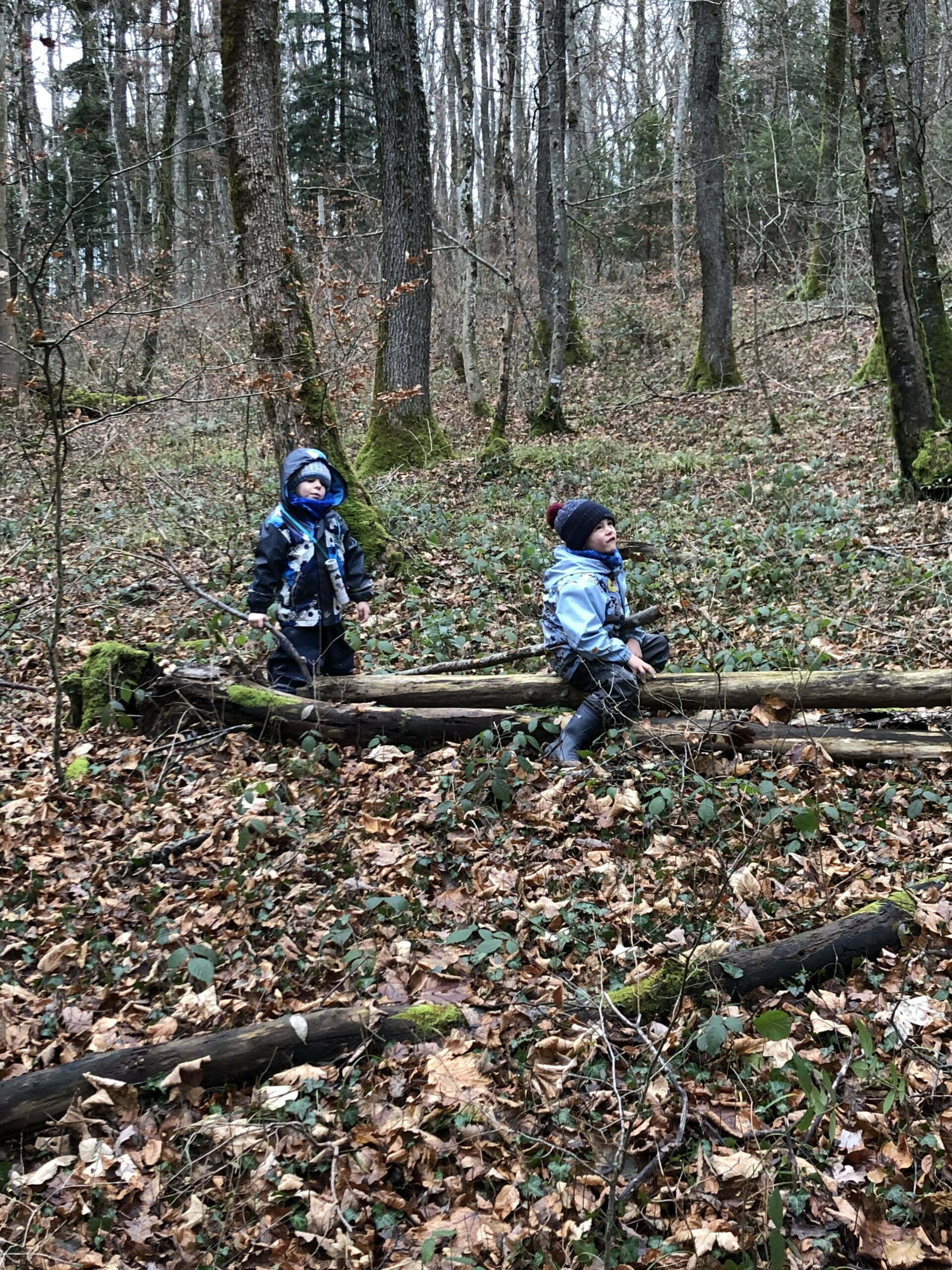 Waldbaden im jurapark Aargau mit Kindern
