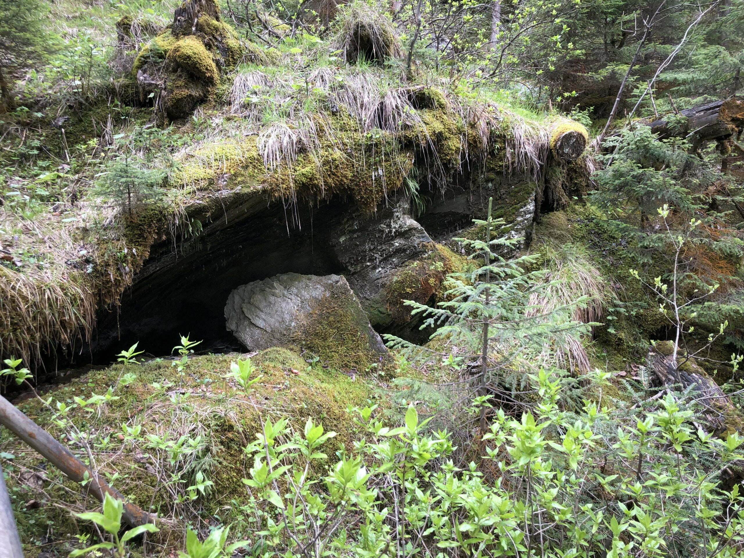 Märchenwald im Kandertal Märchenwald im Kandertal