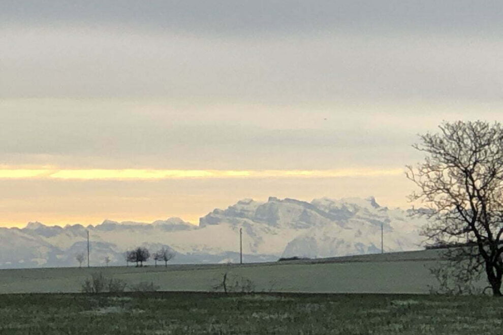 Waldbaden mit den Enkelkindern