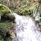 Element Wasser Element Wasser