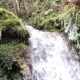 Element Wasser