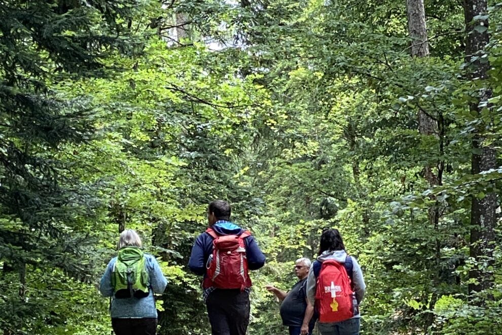 Gruppenbild erste kraftortwanderung