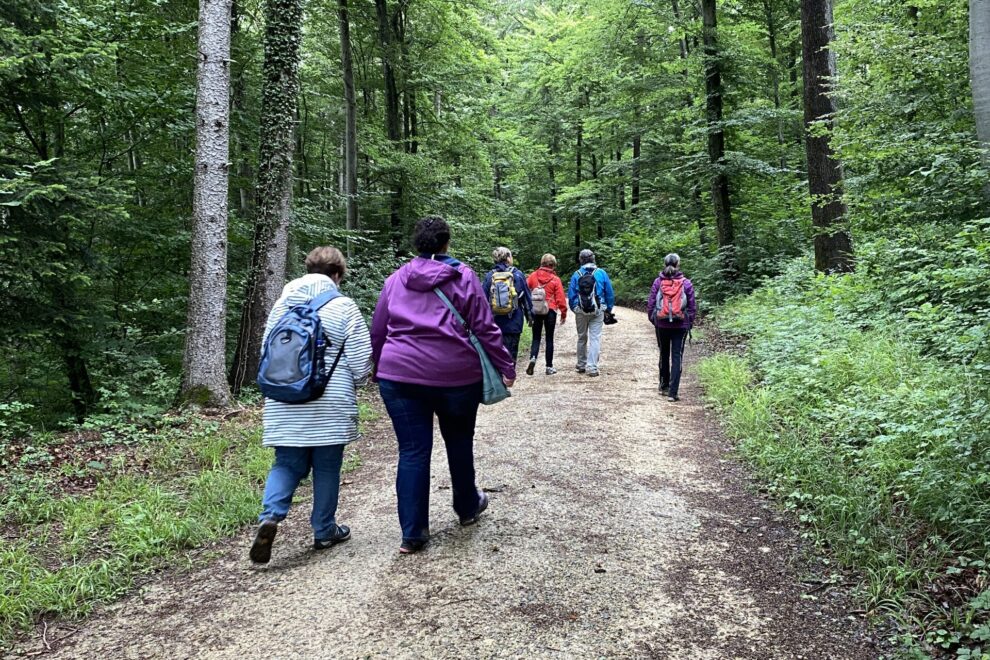 Rückblick ERlebnis und Kraftortwanderungen
