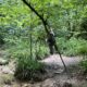 Waldbaden mit Soulness