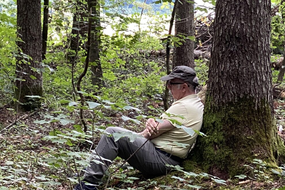 Herbert beim Waldbaden
