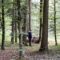 Tomi beim Waldbaden Tomi beim Waldbaden