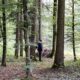 Tomi beim Waldbaden