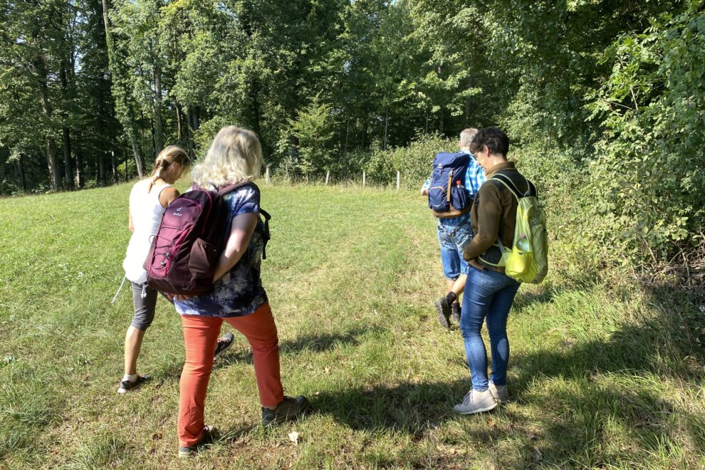 Gruppe auf der Lichtung