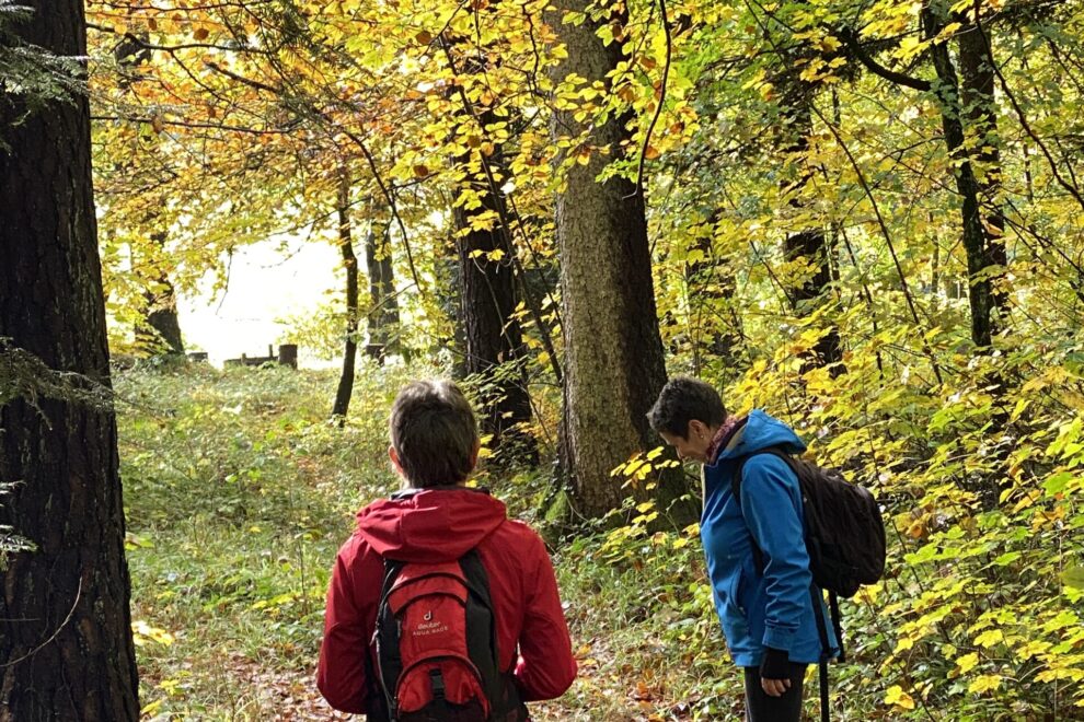 Wanderung im Herbstwald