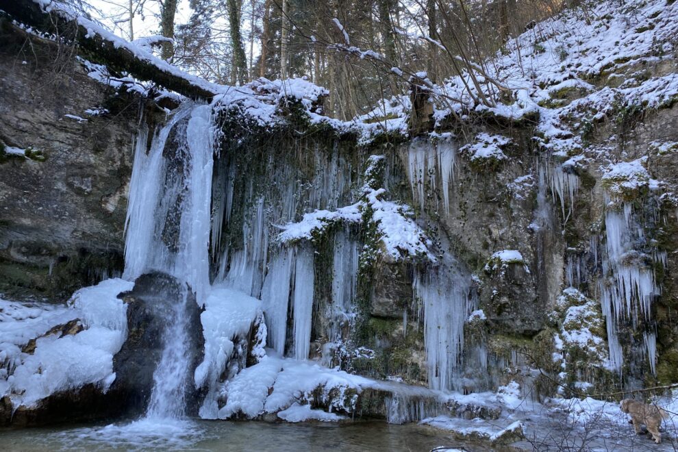 sensationelle Eisbilder Wasserfall