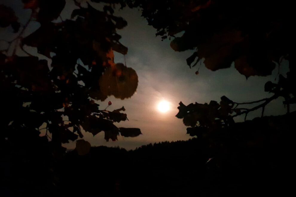 Vollmond linner linde