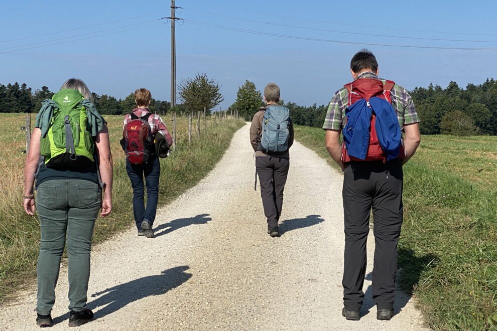 Rückblick Erlebniswanderung Waldbaden