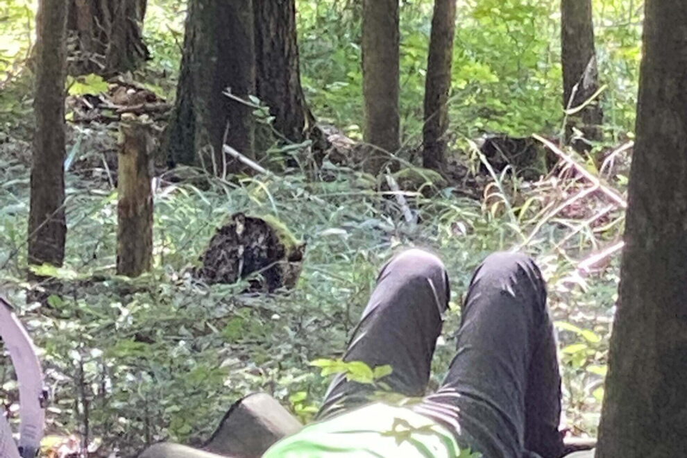 Rückblick Erlebniswanderung Waldbaden