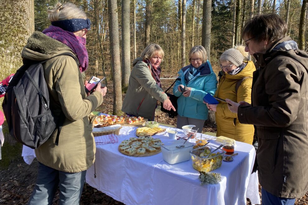 zmorgen im Wald möhlin