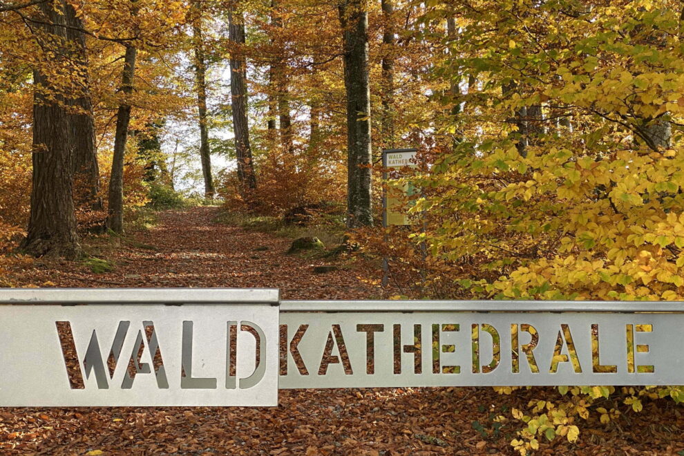 Waldkathedrale in Beromünster