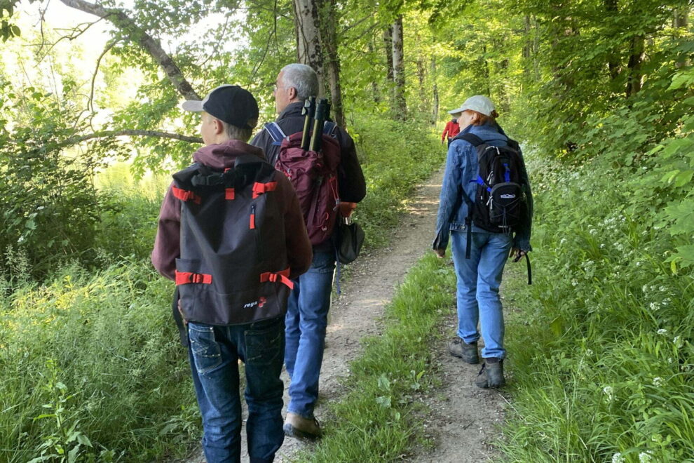 Soulness Exkursion Aare