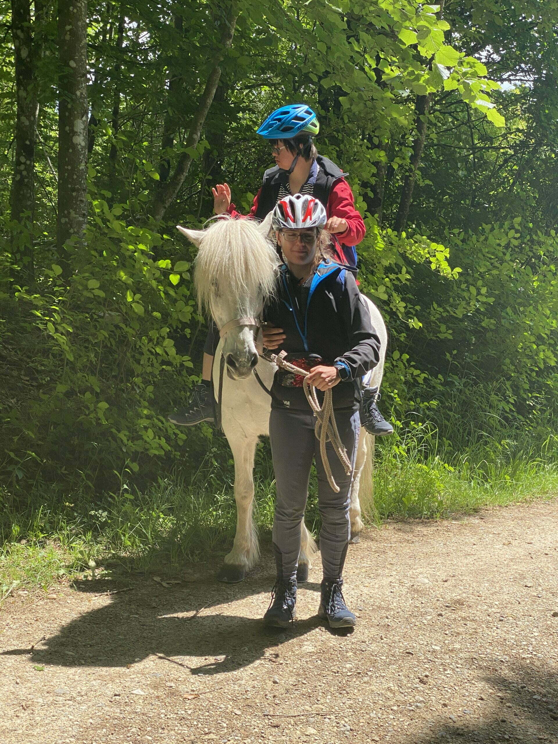 Pferdetrekking insieme Bildungsklub Pferdetrekking insieme Bildungsklub