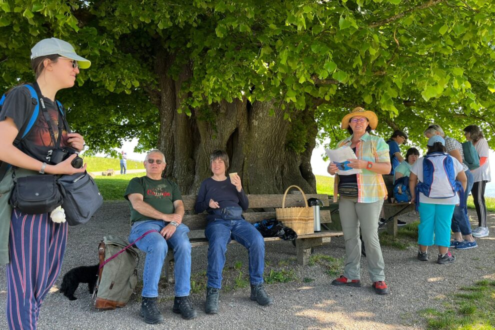 Begrüssung linner Linde