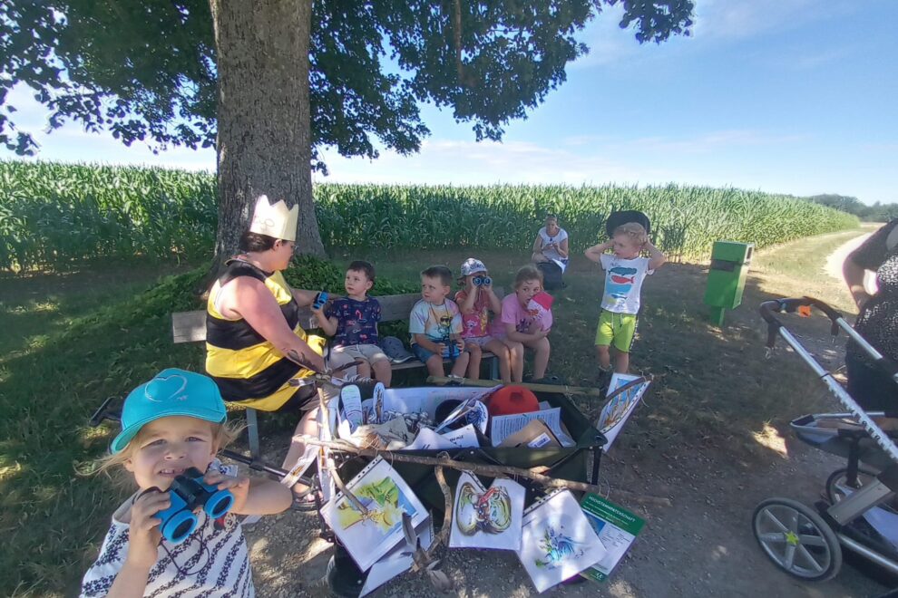 Biene Gogo und das Element Luft