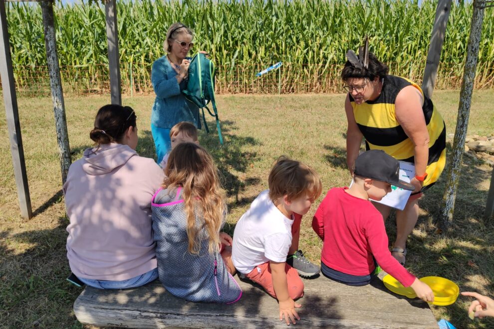 Element WAsser mit Biene Gogo
