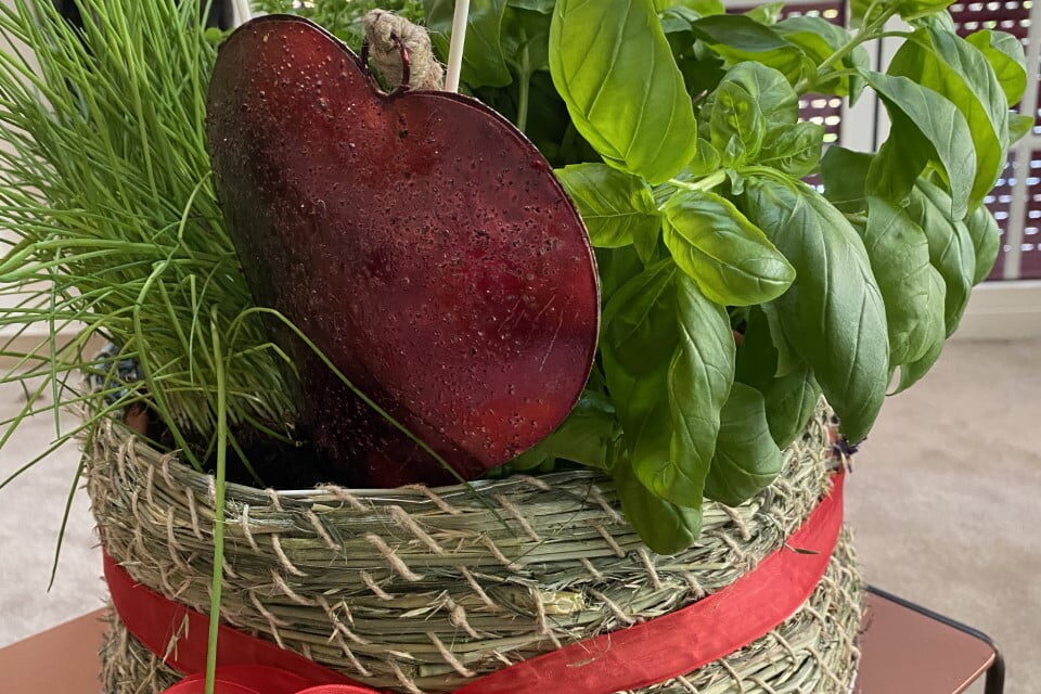 Hochzeitsgeschenk Gras Kräuterkorb DanielHochzeitsgeschenk Gras Kräuterkorb Daniel