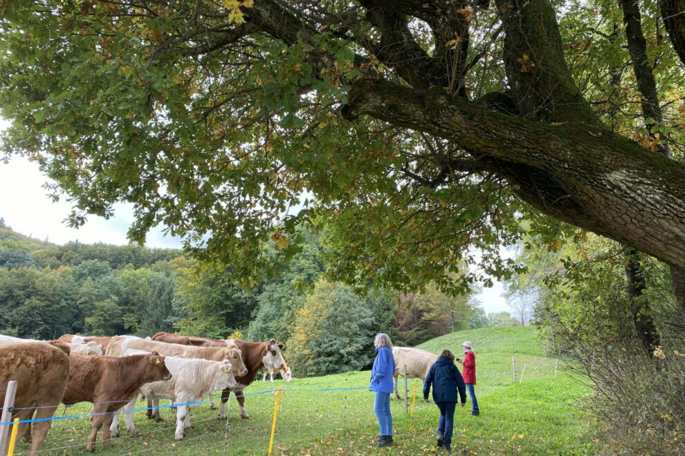 Erlebnis- und Kraftortwanderung Bruderhöhle