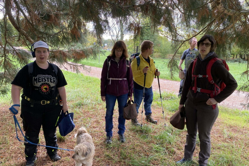 insieme Bildungsklub und Soulness