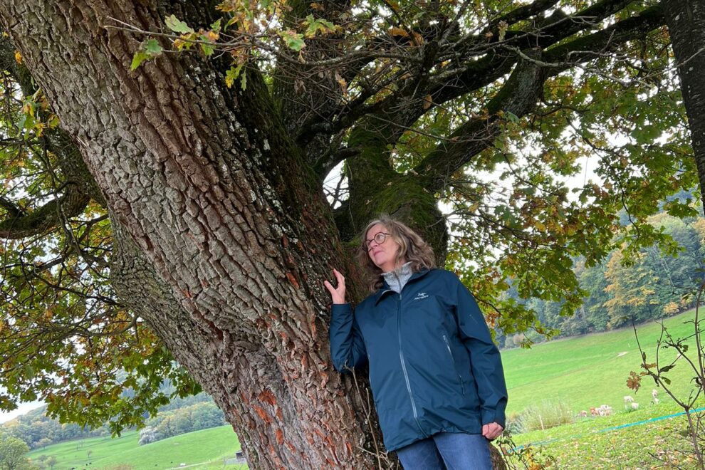 linner linde und Eiche