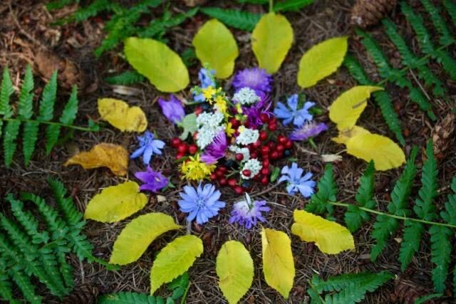 wunderschönes Waldbild