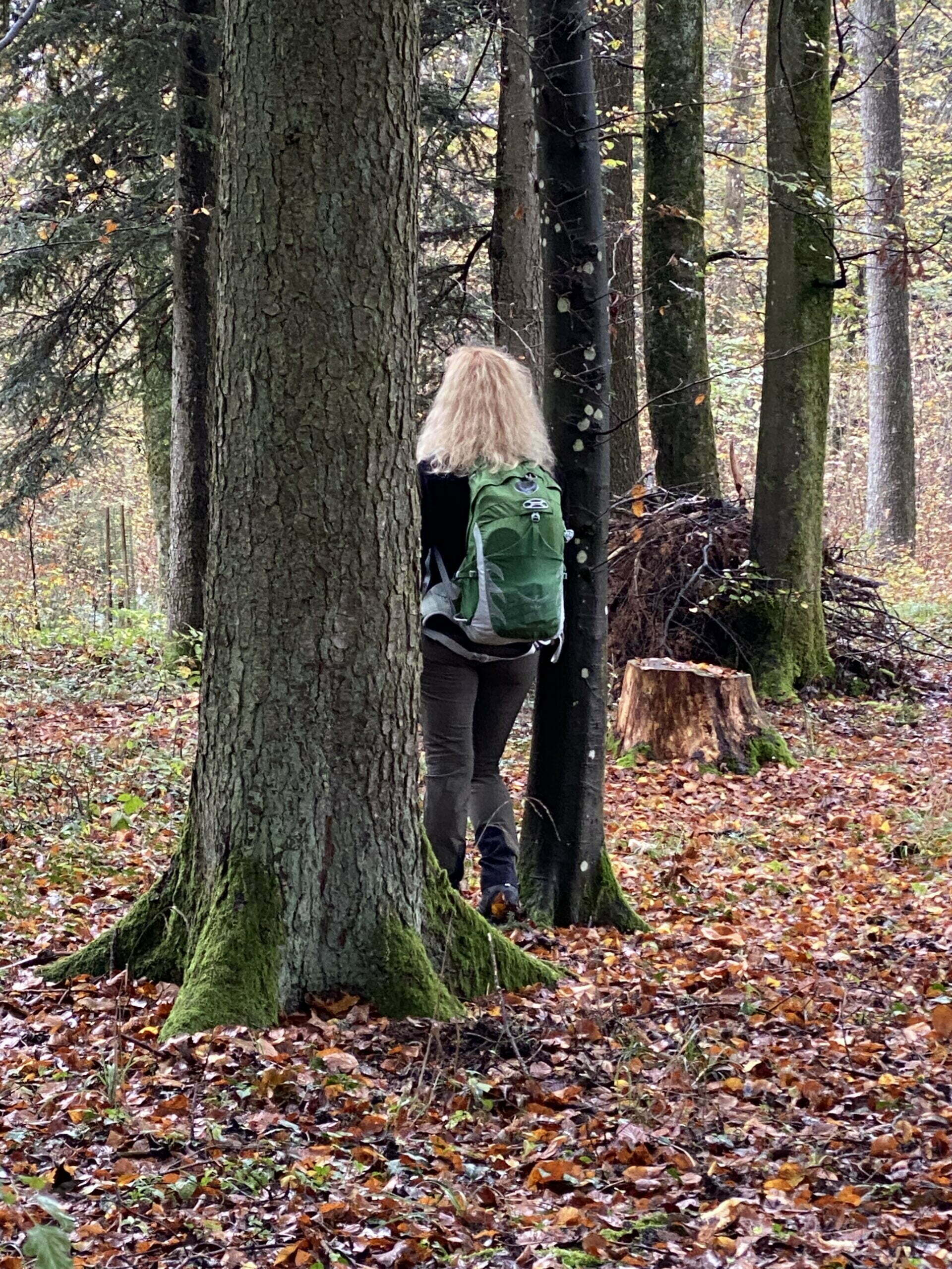 Waldbaden mit Soulness Waldbaden mit Soulness