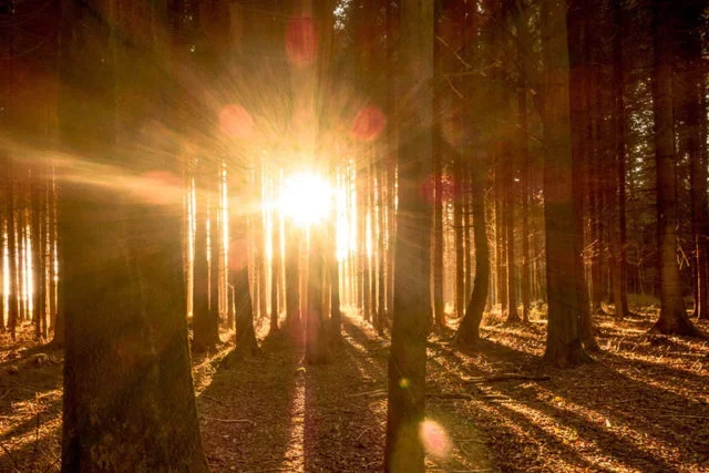 Imbolc Fest des Lichtes