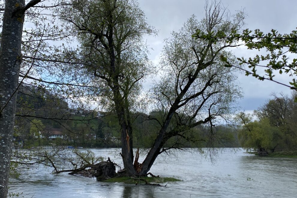 Aarelandschaft zum Wasserschloss