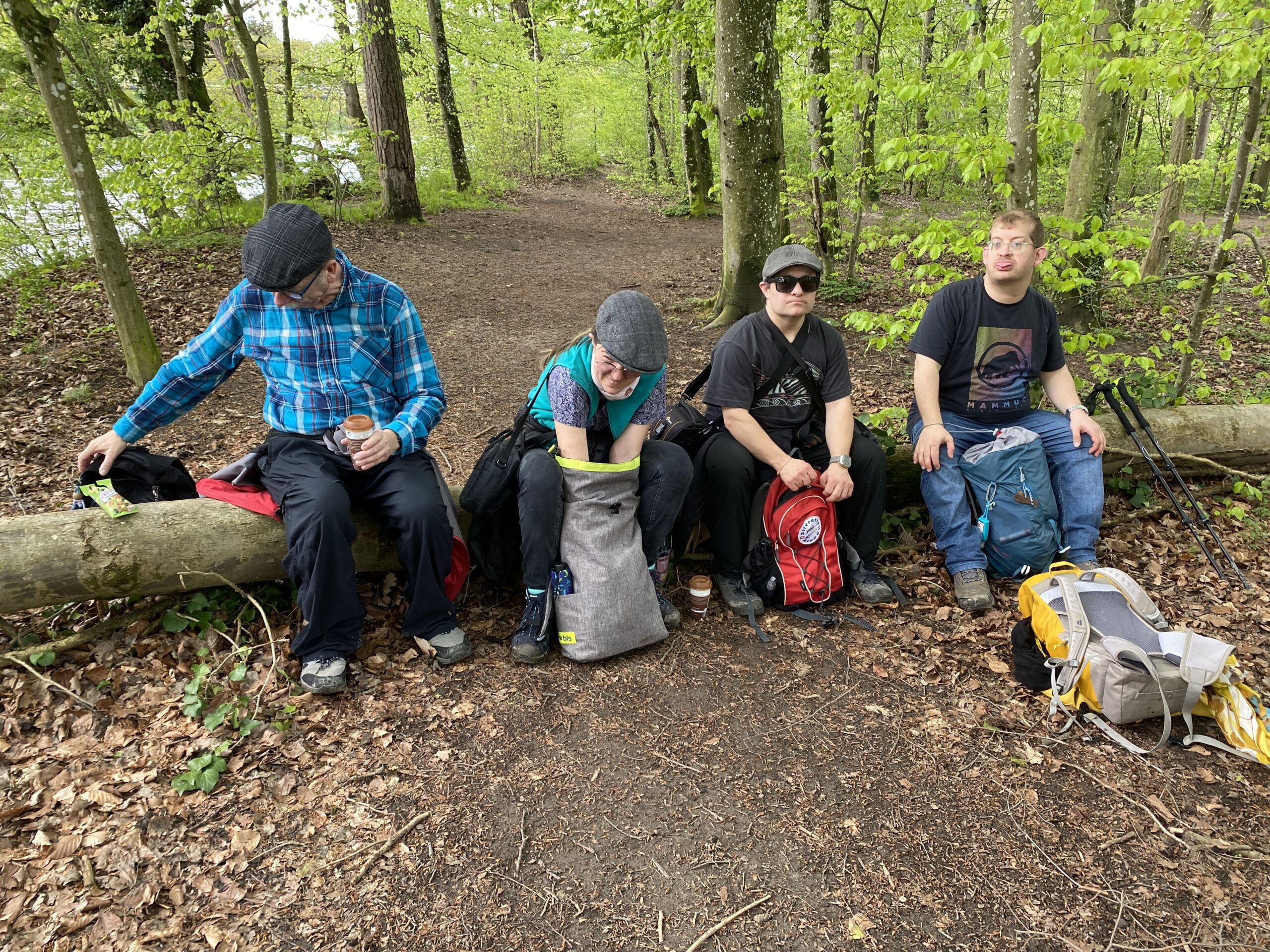 Picknick mit Gruppe insieme Picknick mit Gruppe insieme