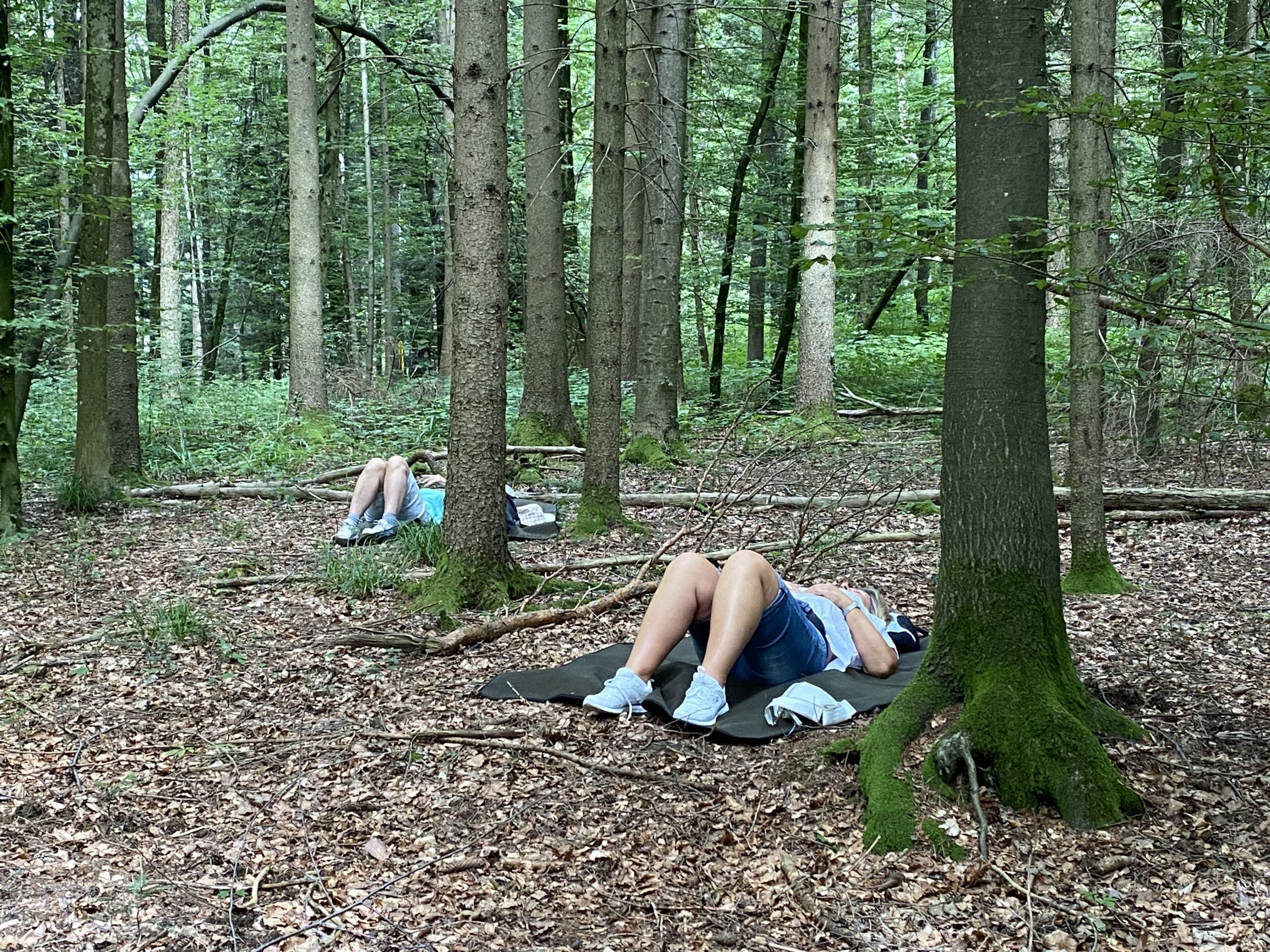 Waldbaden entspannen Achtsamkeit