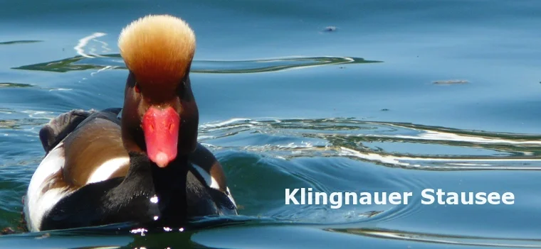 Klingnauer Stausee mit Soulness