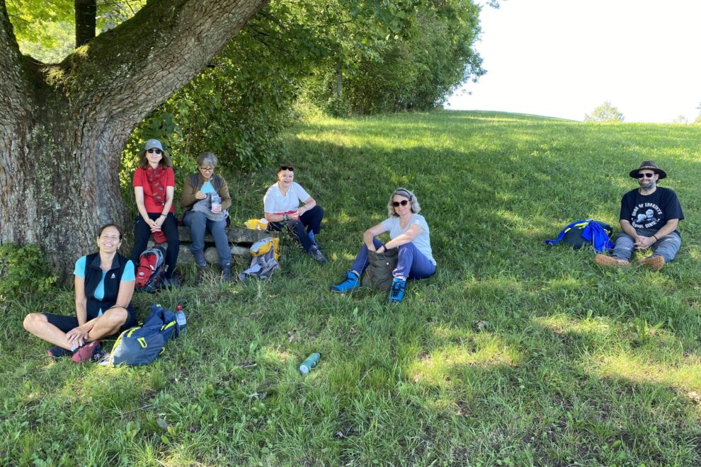 bei der kräftigen Eiche