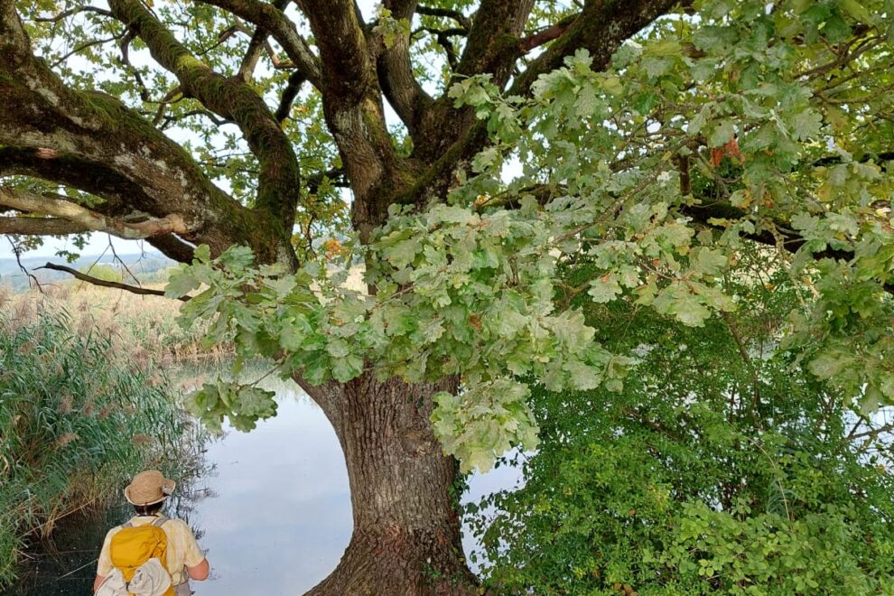 klingnauer Stausee mit insieme Bildungsklup