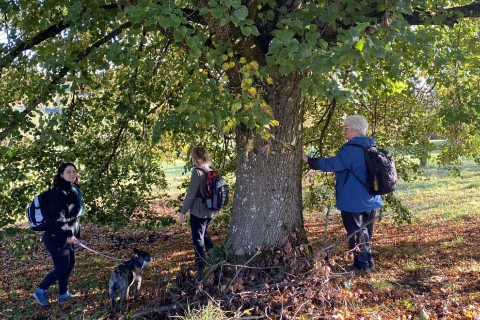 Waldbaden und Meditation bei der Kraftwanderung