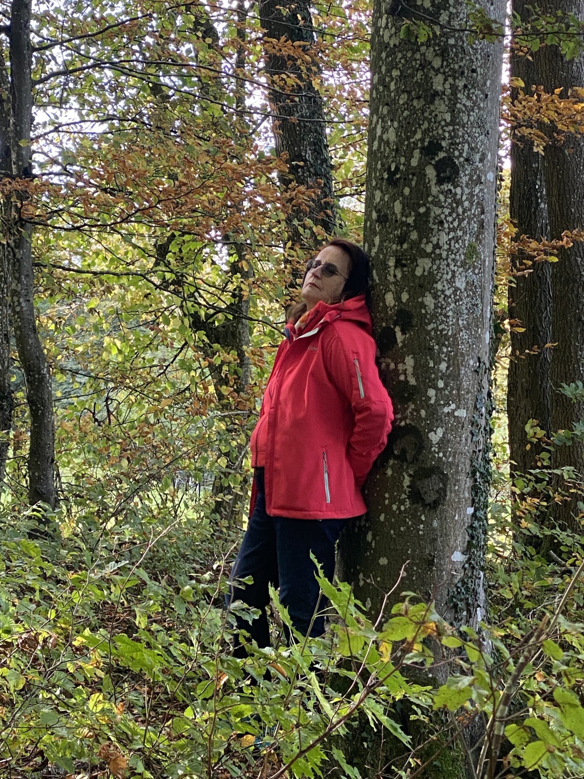 Meditation beim Waldbaden
