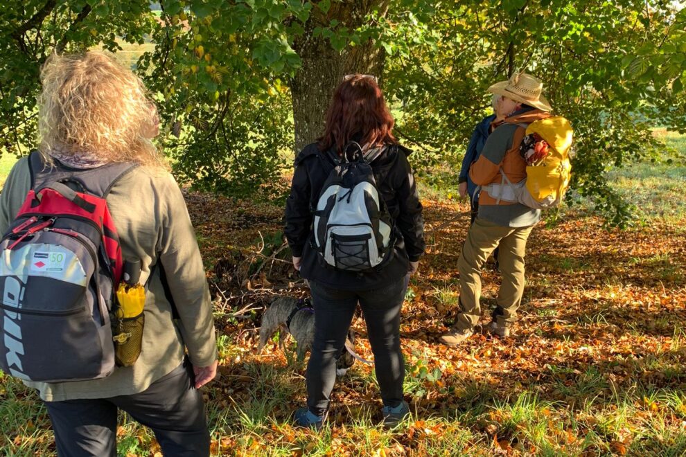 unter der Kraft des Lindenbaums