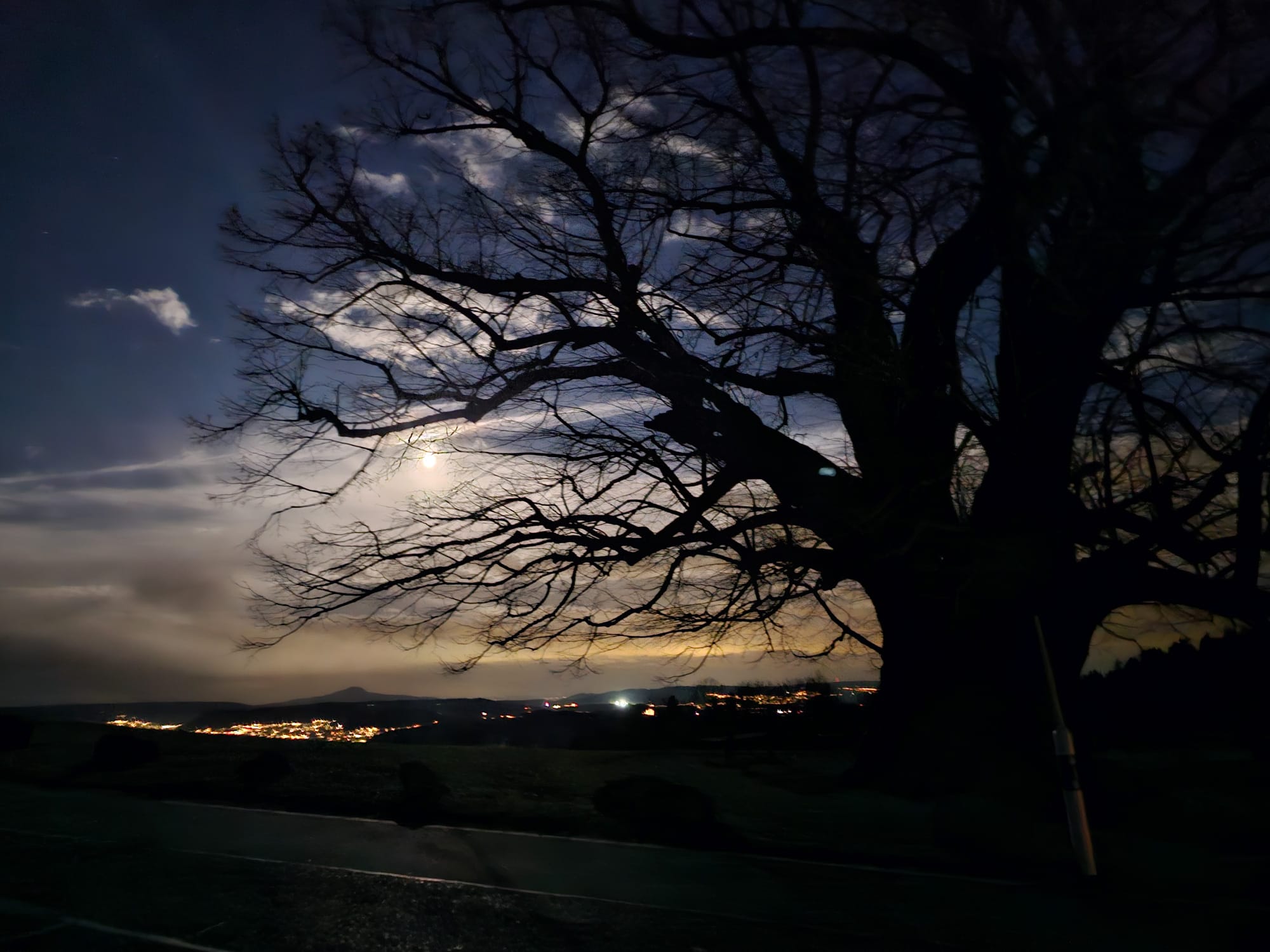Landschaft Bäume bei Vollmond Landschaft Bäume bei Vollmond