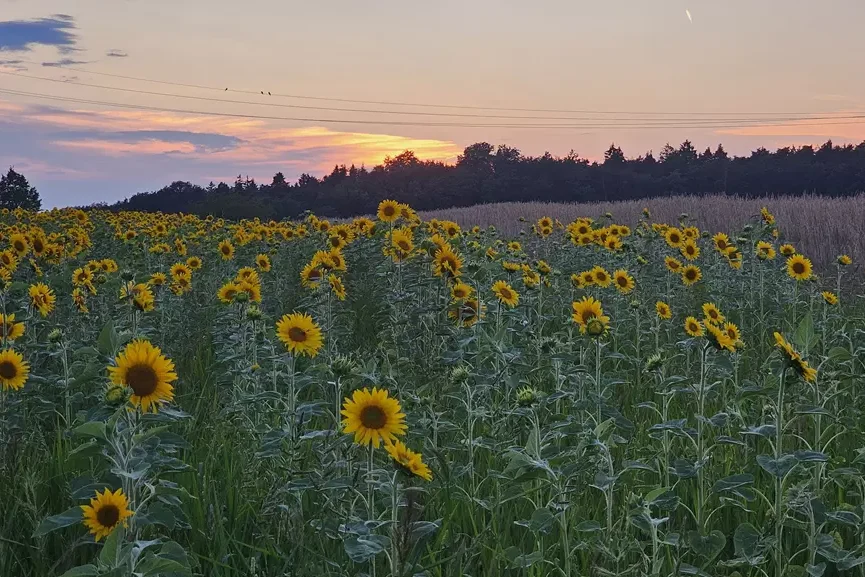 Rückblick Vollmondwanderung