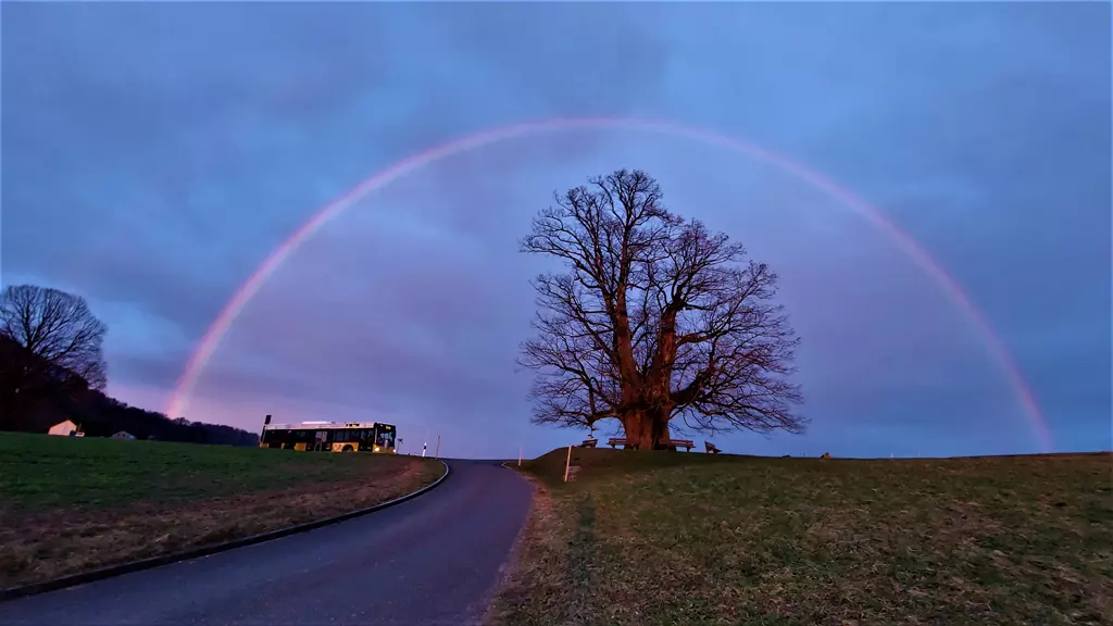 LinnerLinde mit Regenbogen LinnerLinde mit Regenbogen