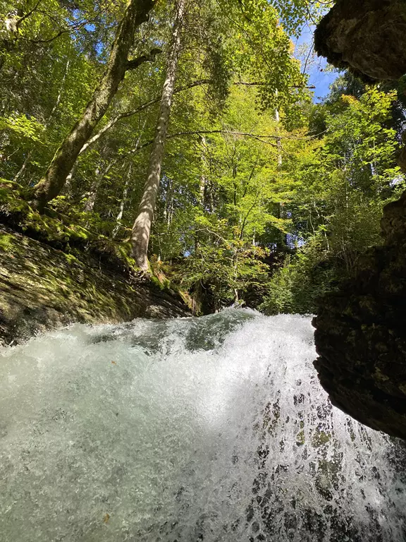 Element Wasser die heilende Kraft Element Wasser die heilende Kraft