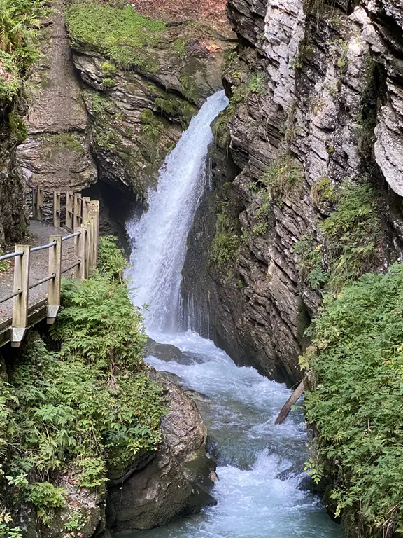 Der Fluss des Lebens Der Fluss des Lebens