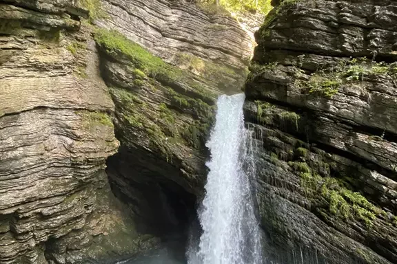 Der Fluss des Lebens