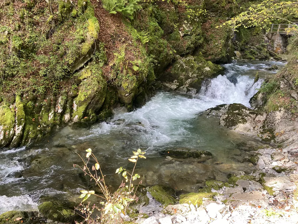 Der Fluss des Lebens Der Fluss des Lebens